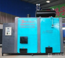 食用菌專用蒸汽環保鍋爐 綠色高效，助力食用菌產業可持續發展